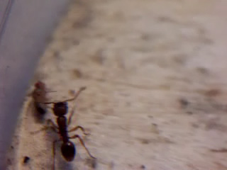 icono del video