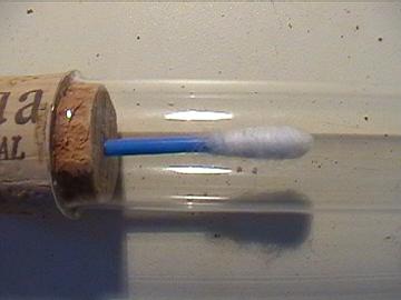 Bastoncillo