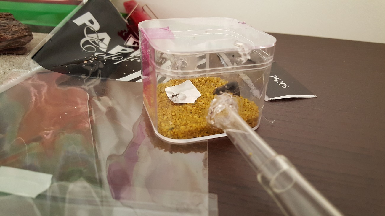 Tubo+caja forrajeo
