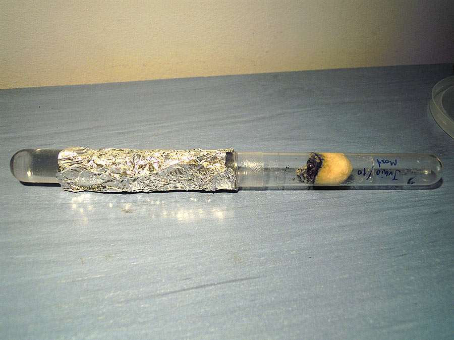 Tubo2