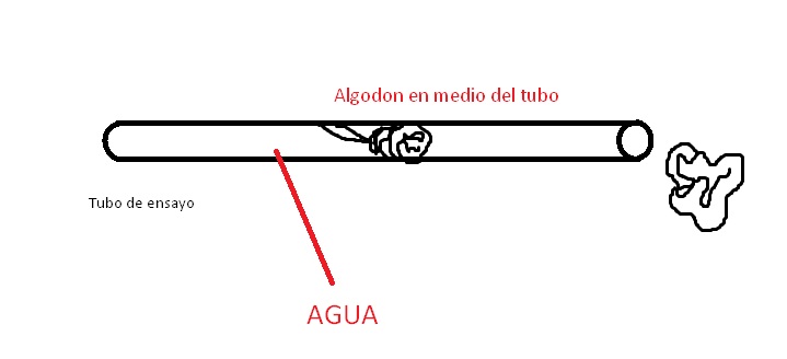 Tubo de ensayo