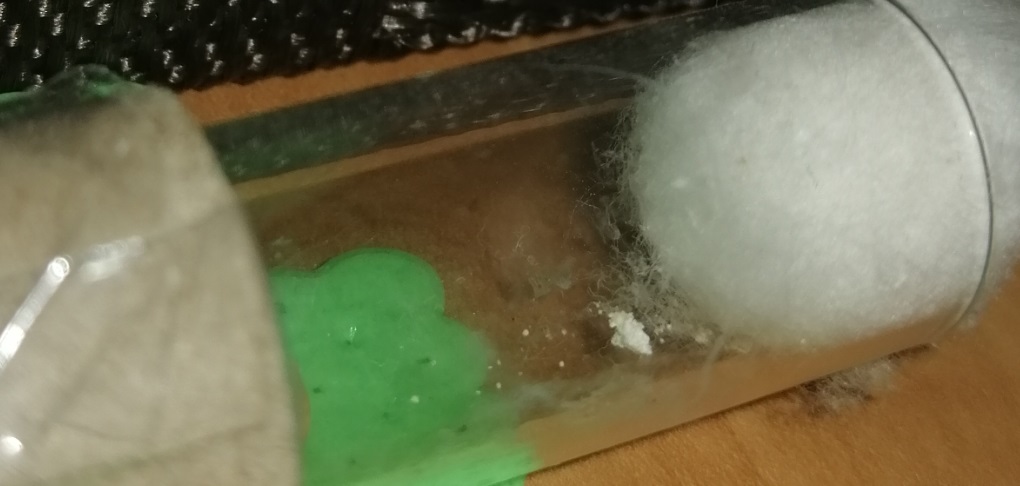 blanco2