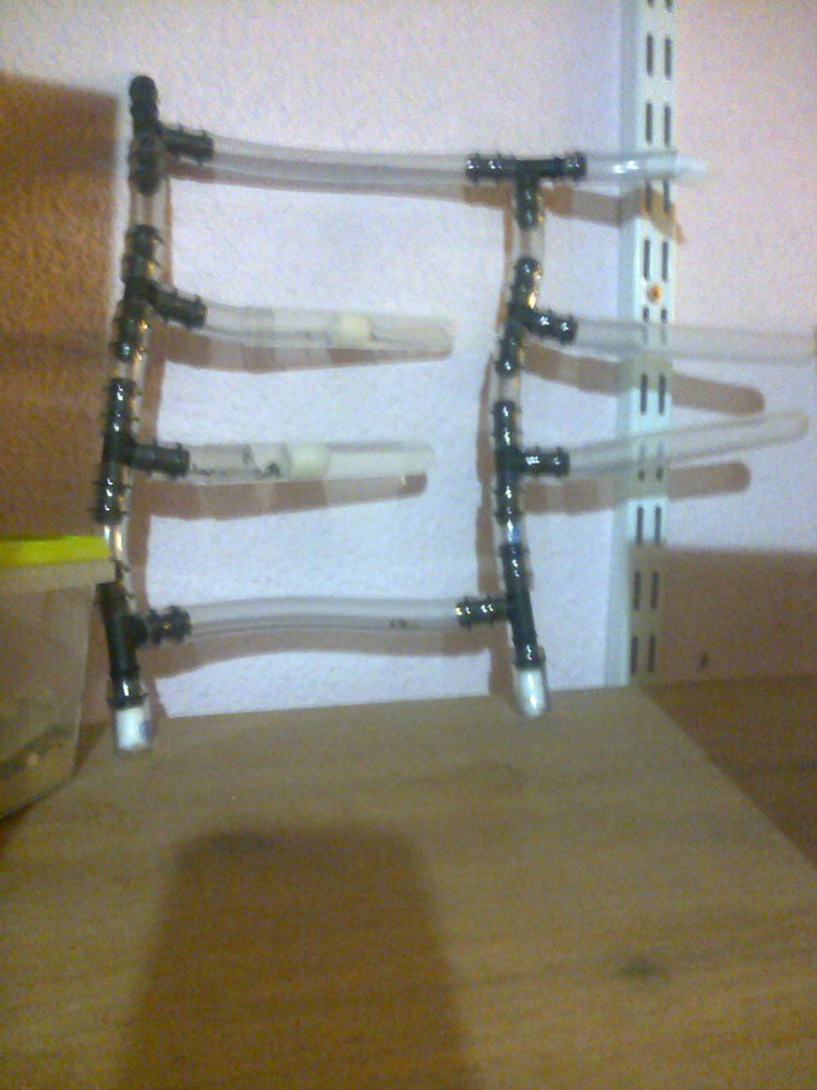 Hormiguero modular 1