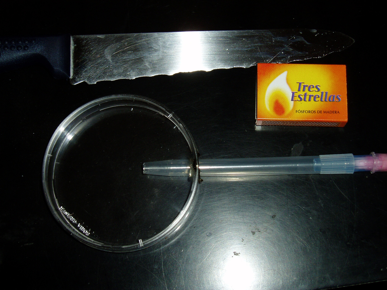 puntas micropipeta con capsula petri!