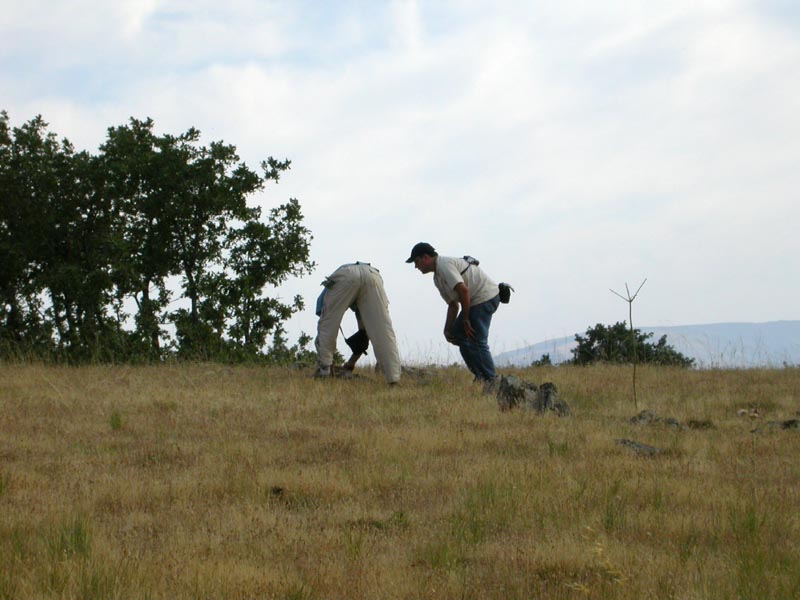 kedada en avila