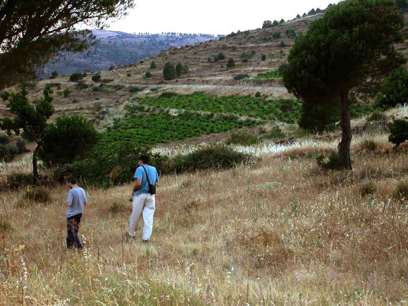 Kedada en avila