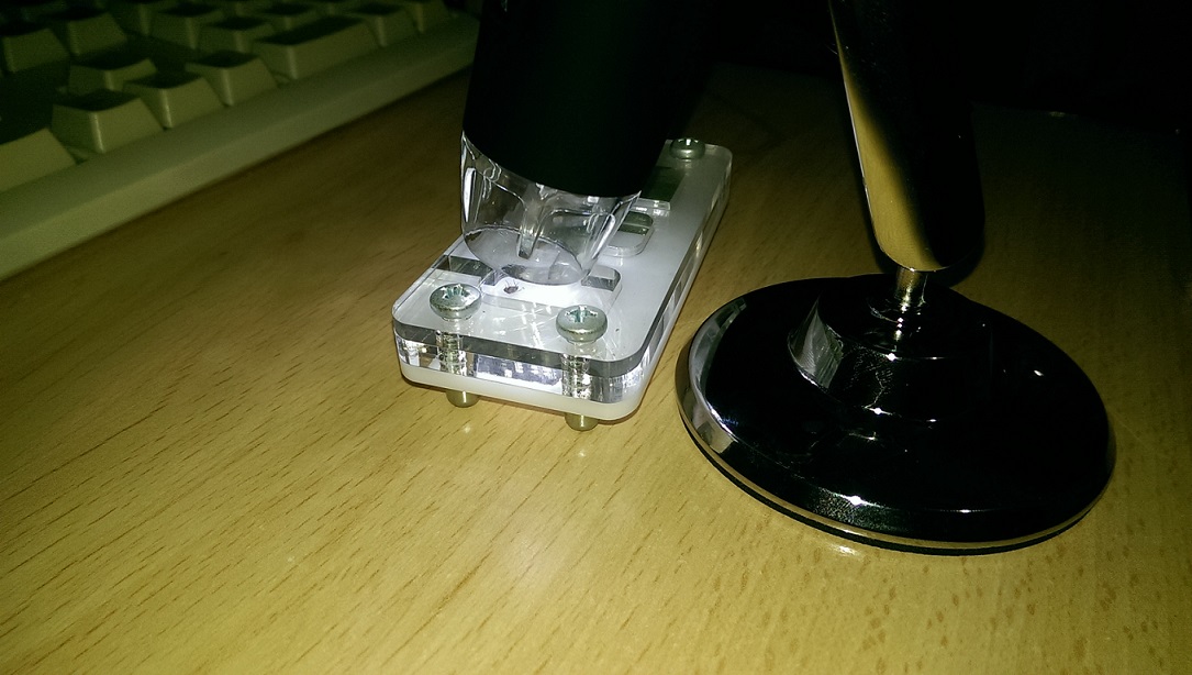 Mosca fruta bajo el microscopio