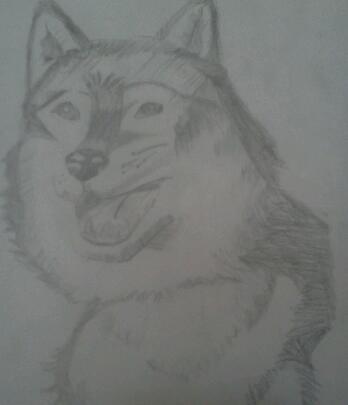 Dibujo perro