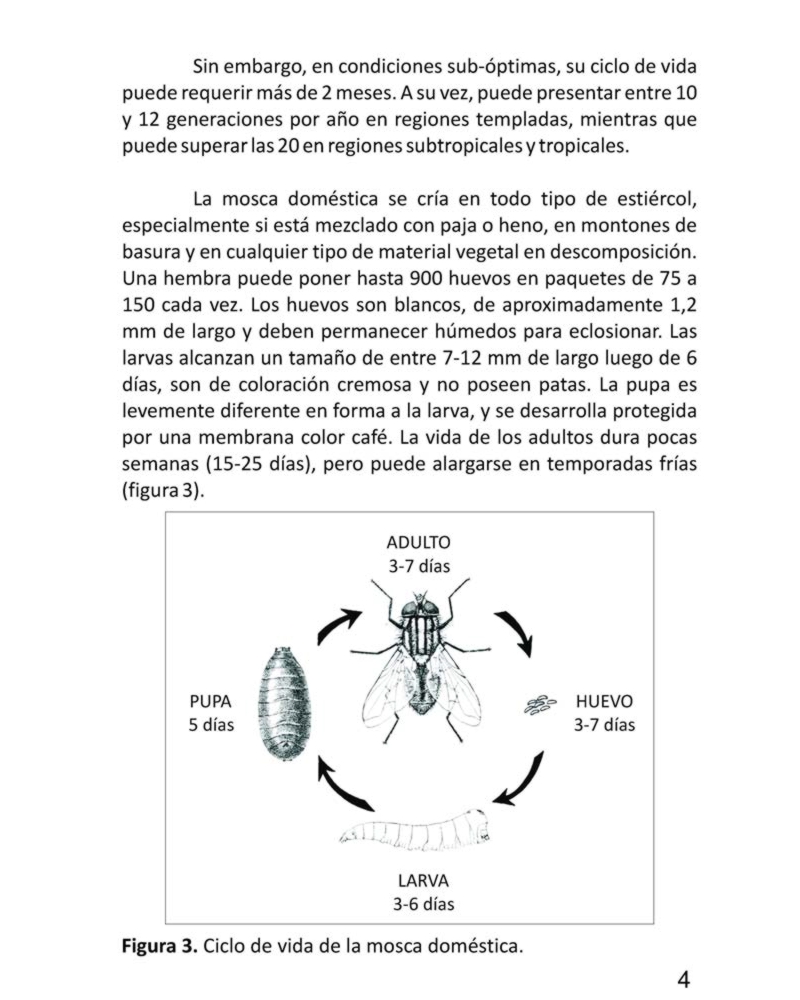 Ciclo mosca
