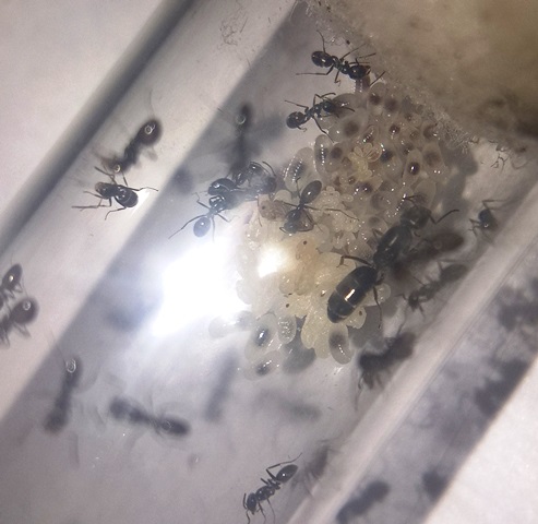 misteriosas