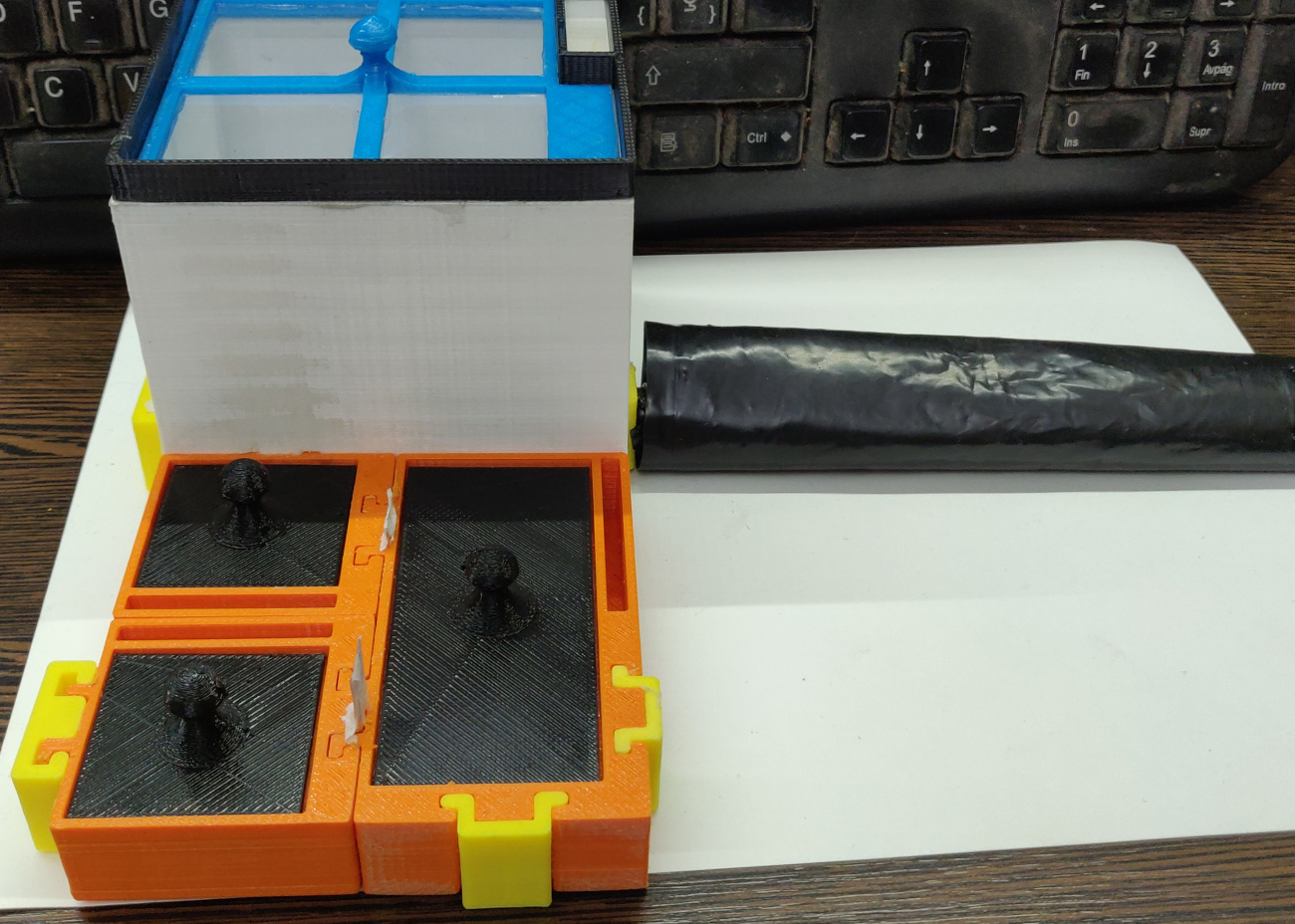 Camponotus mus 03