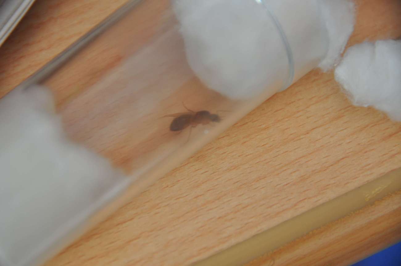 identificacion_2