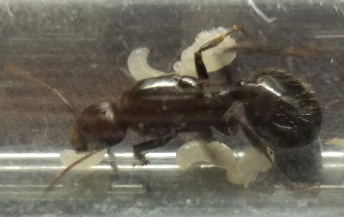 quiensoy02