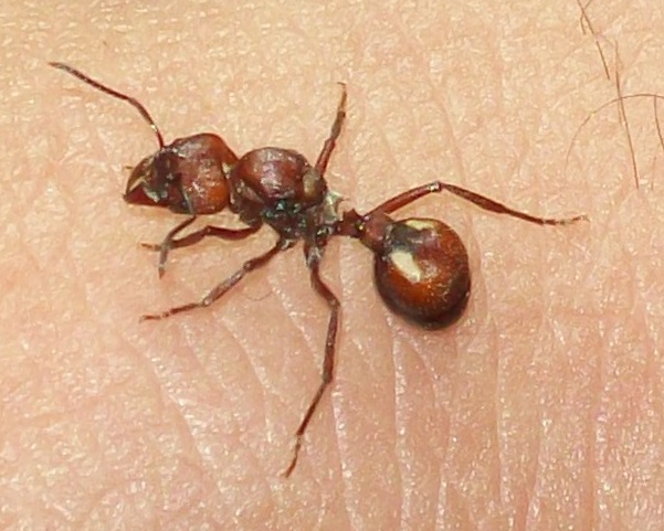 �1