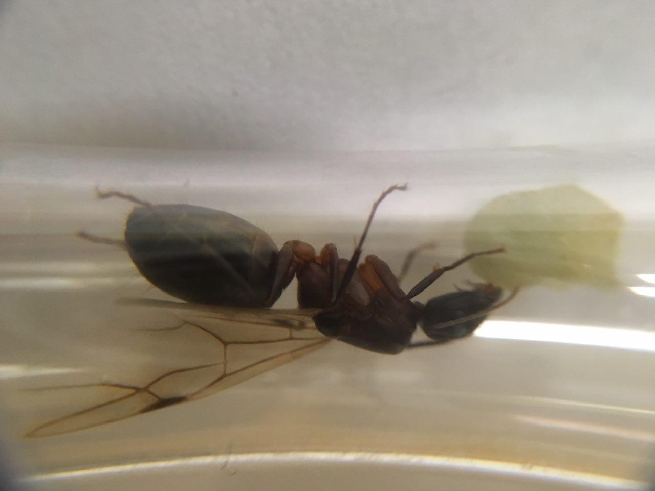 Ayuda identificar