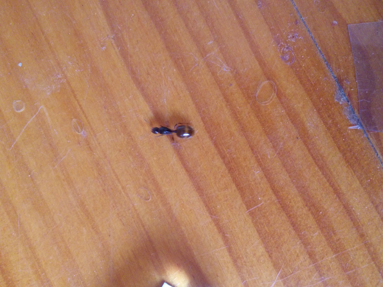 2.1 identificar