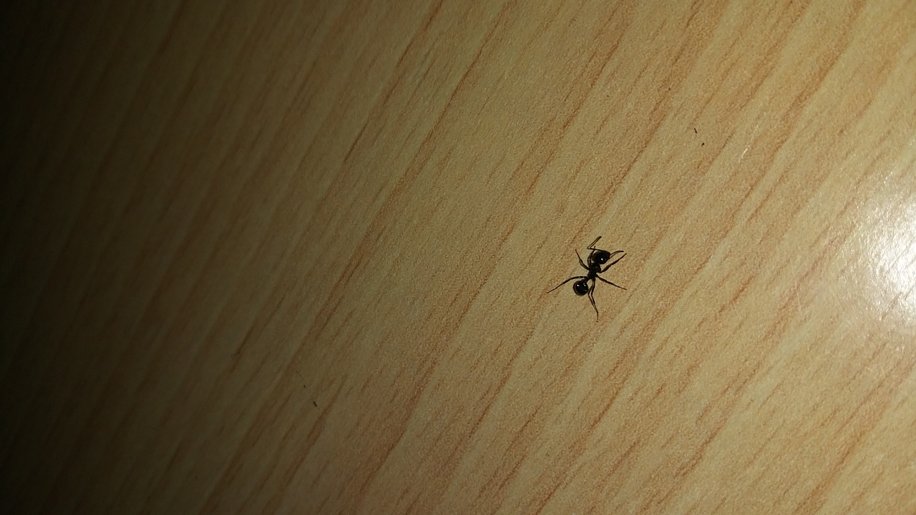 Identificar