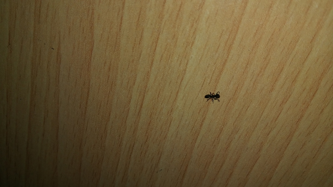 Identificar 2