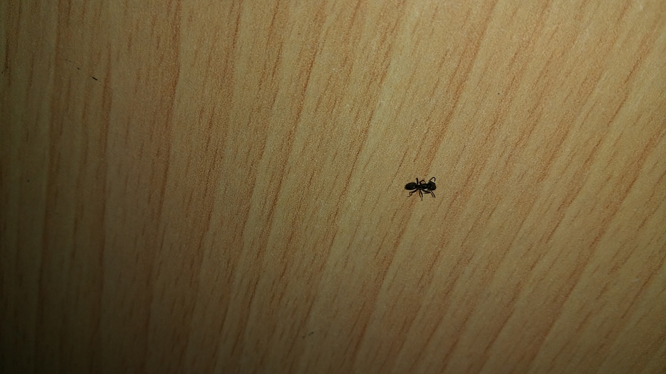 Identificar 2