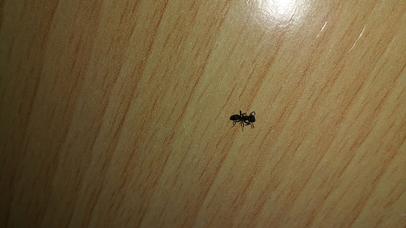 Identificar 2