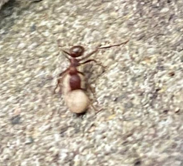 ?