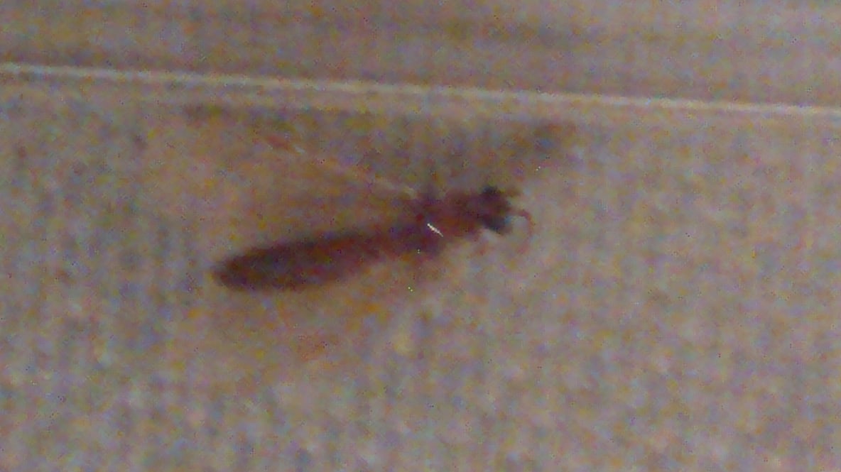 identificar