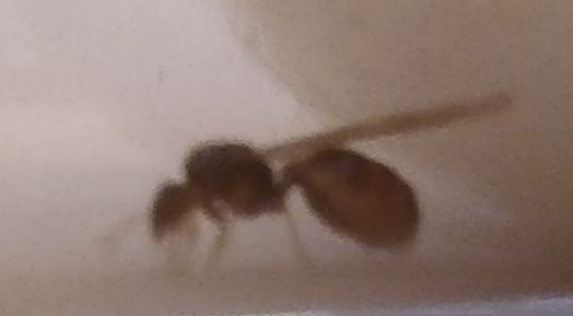 ayuda a identificar 2