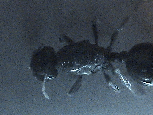 DSC00408
