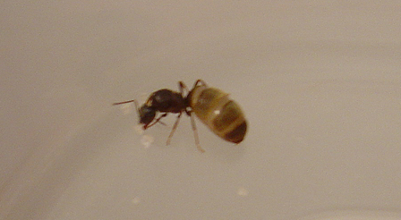 DSC02723b.jpg