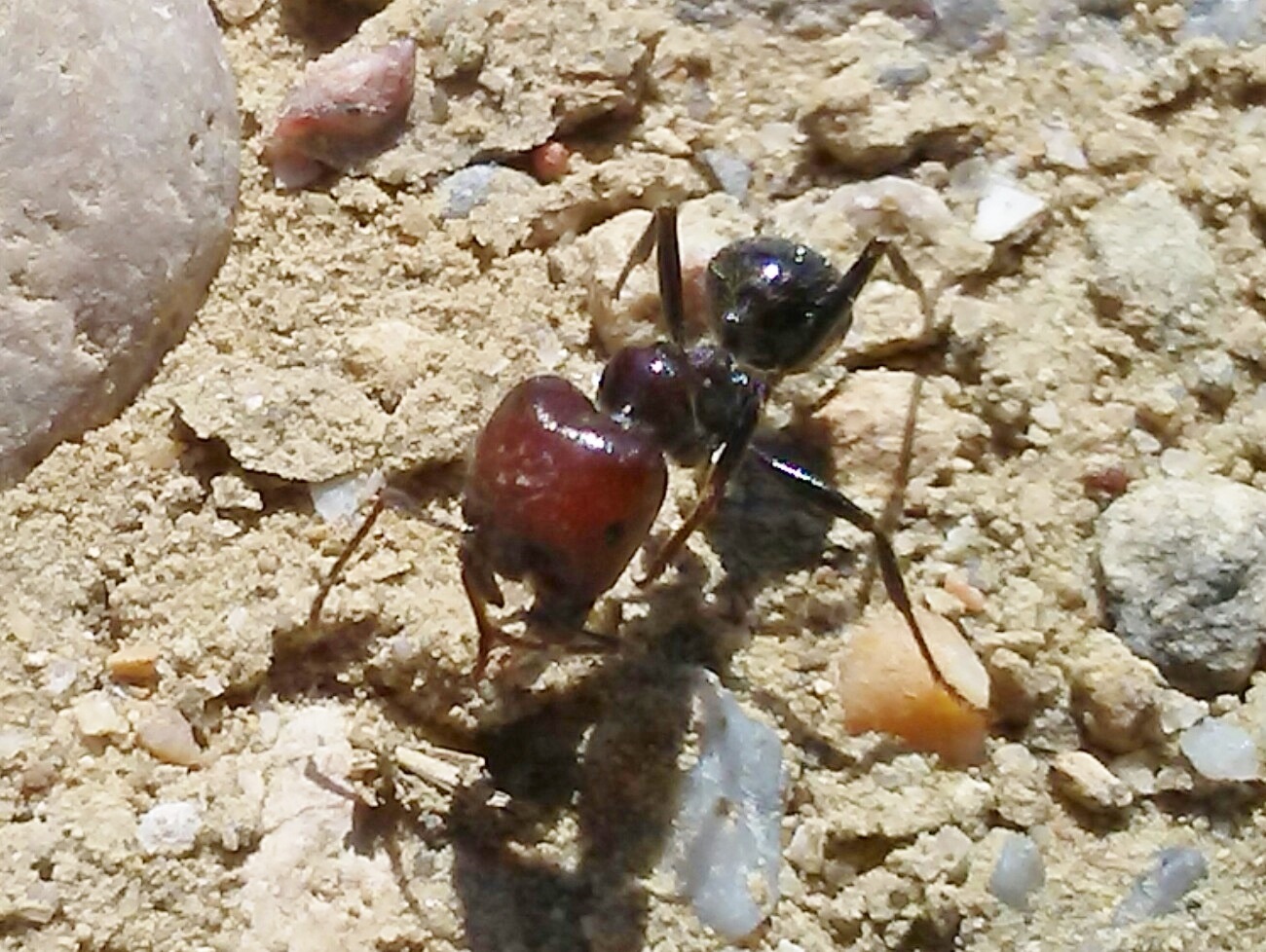 a identificar