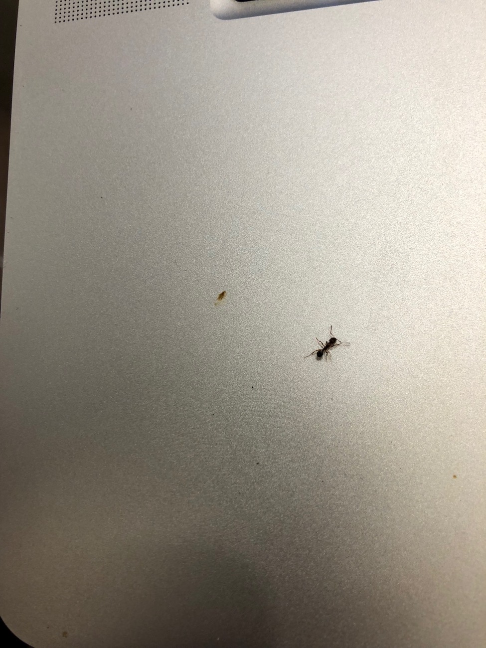 ayuda a identificar