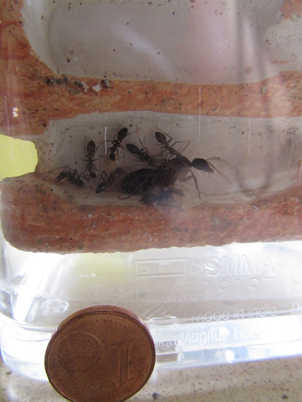 Ayuda identificacion