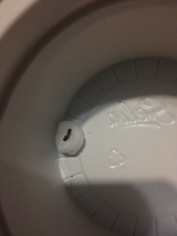 otra por identificar