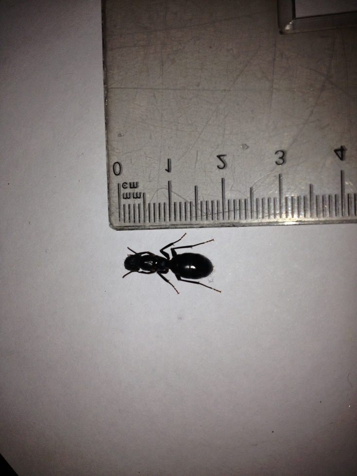 otra por identificar3