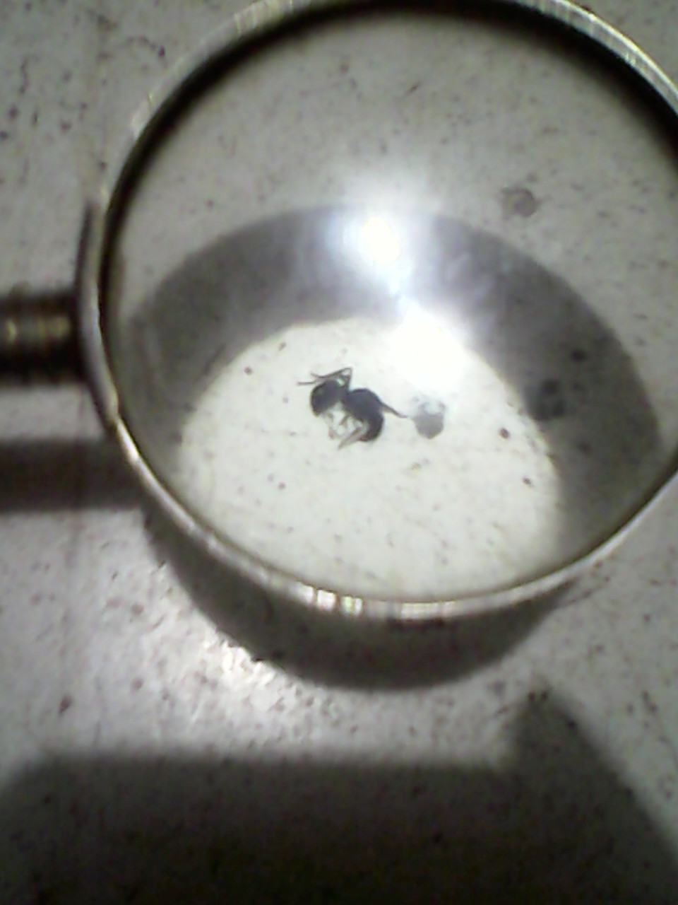 ayuda a identificar