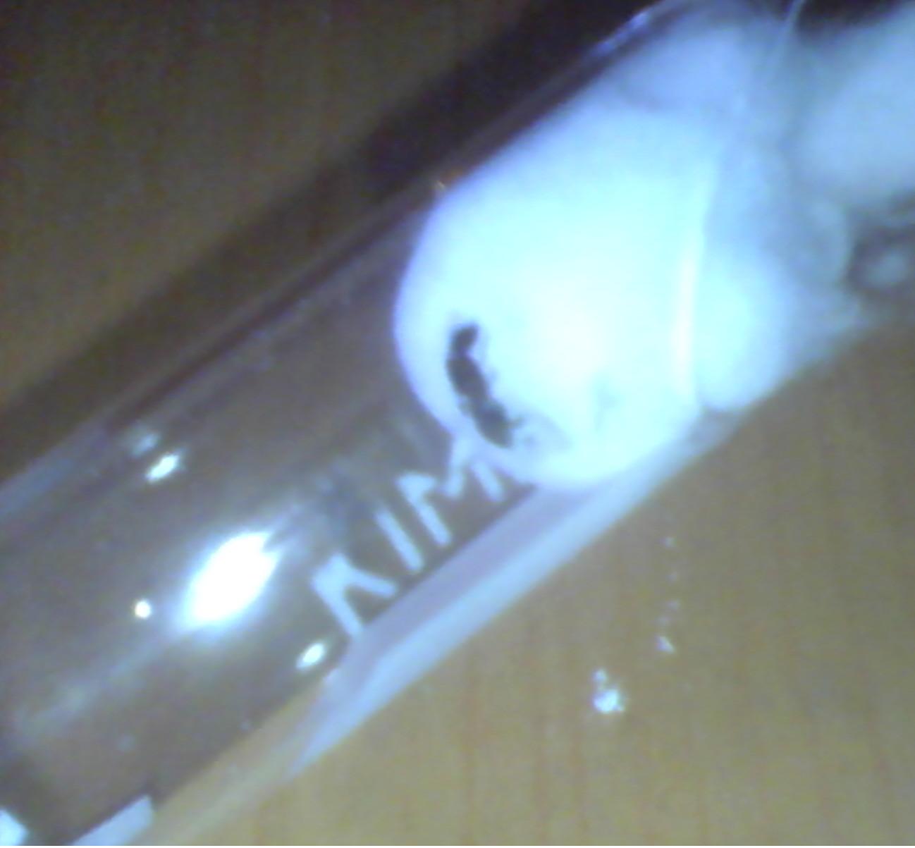 D�a 2