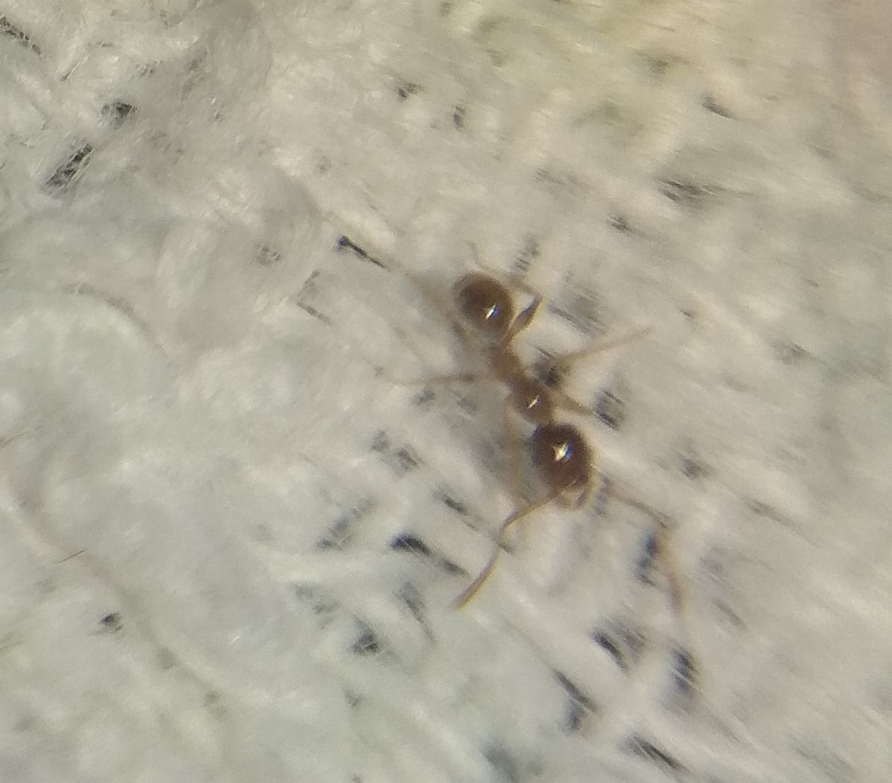 Ayuda a identificar