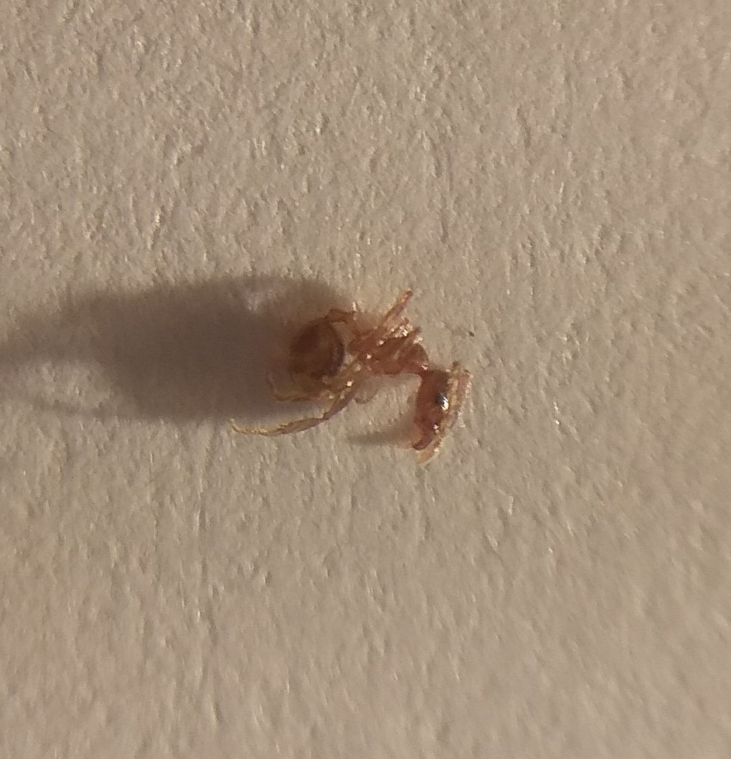 Ayuda a identificar