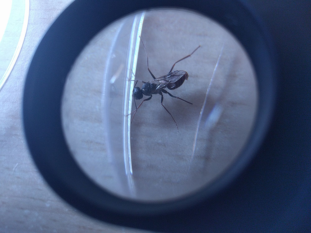Para identificar 01