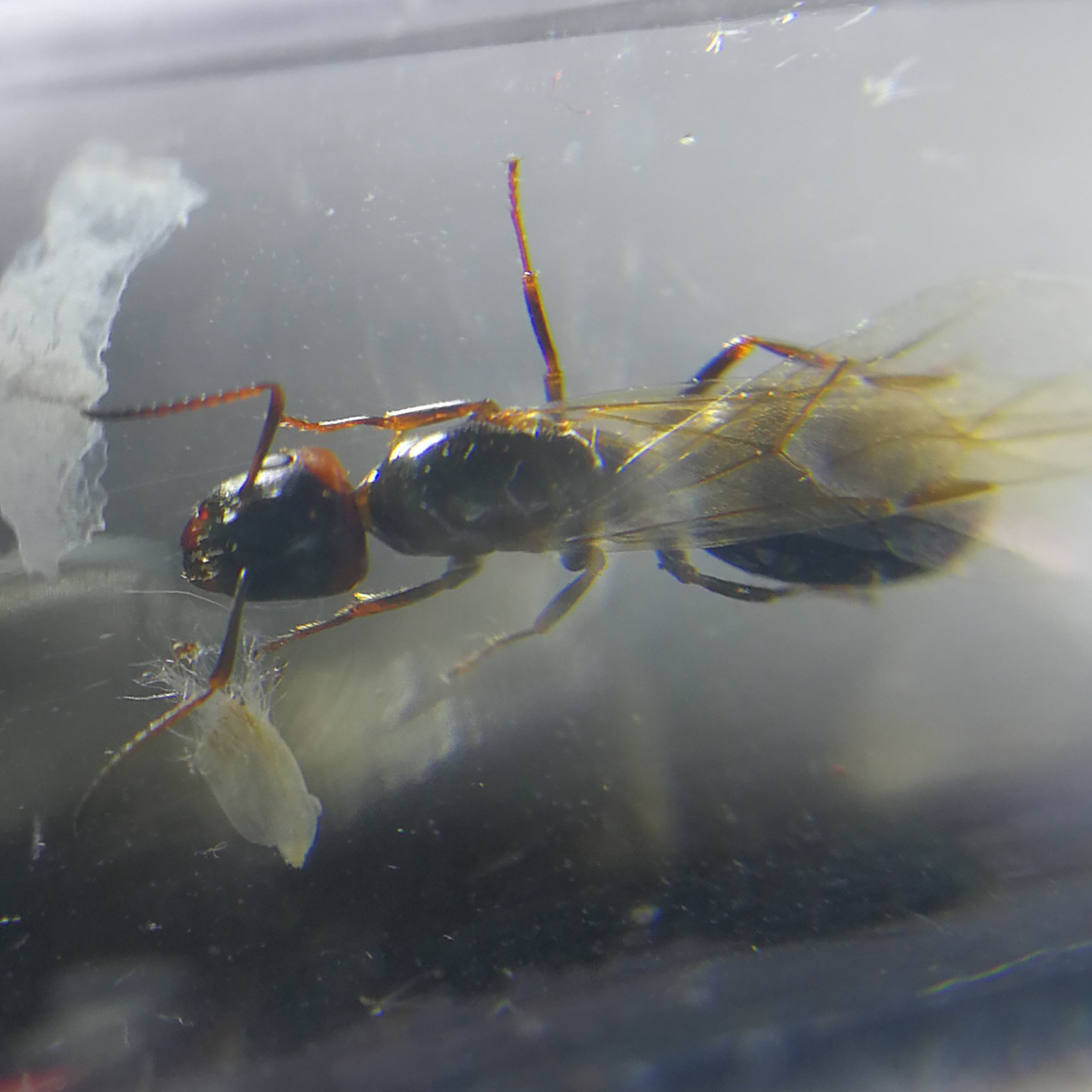 foto2