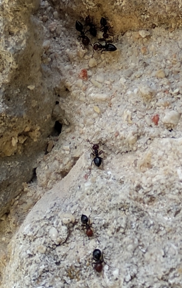 Al lado de la reina