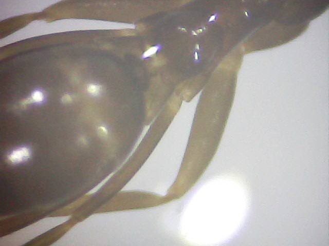 Identificar05
