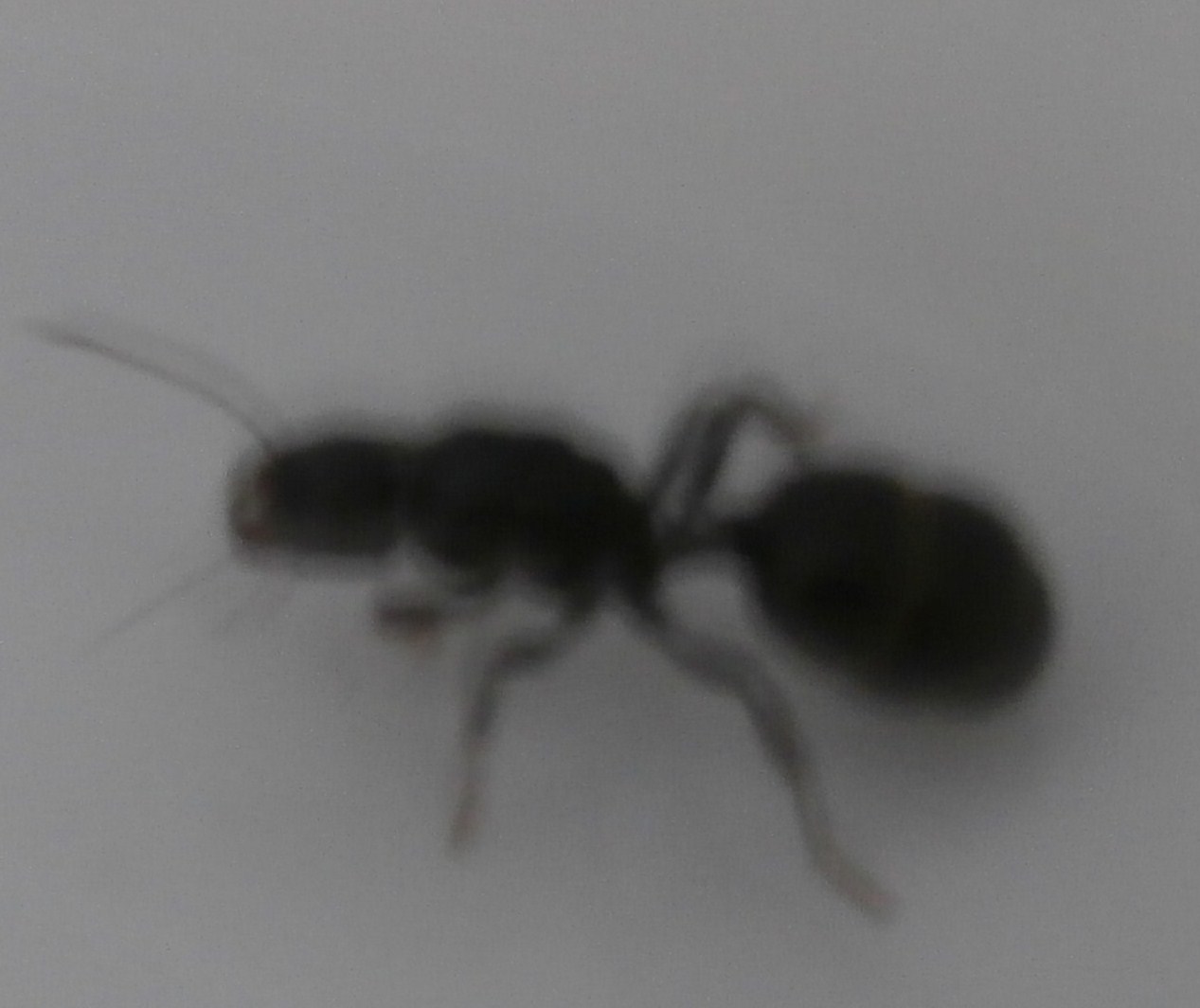 ayuda a identificar