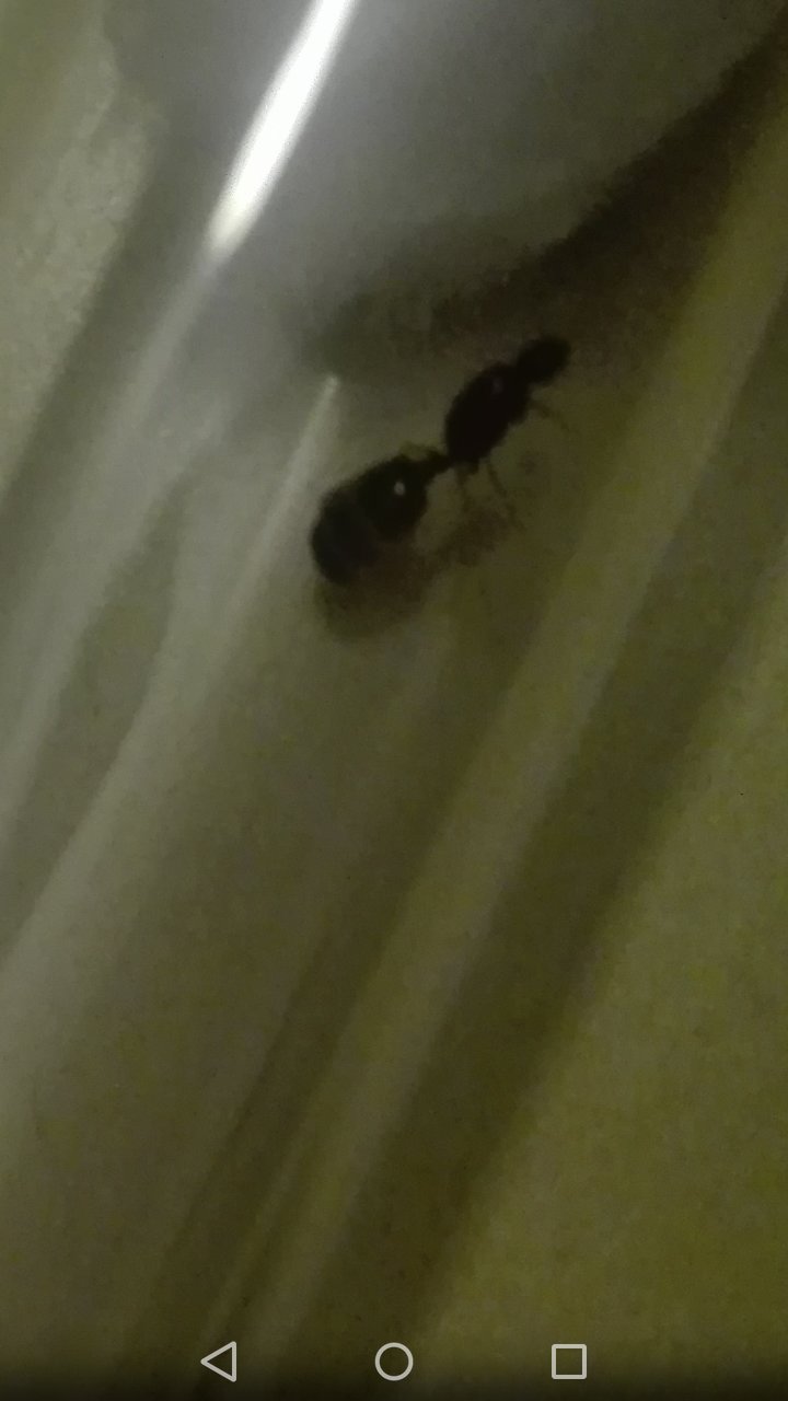 Ayuda a identificar