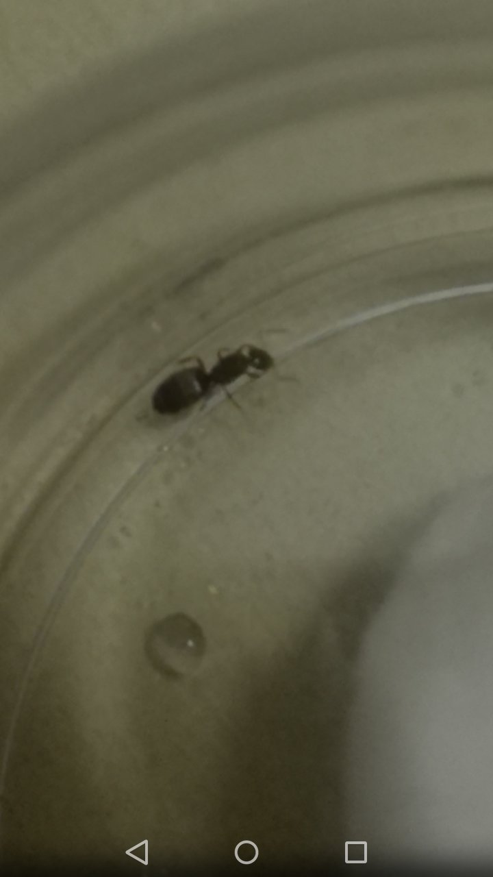 Ayuda a identificar