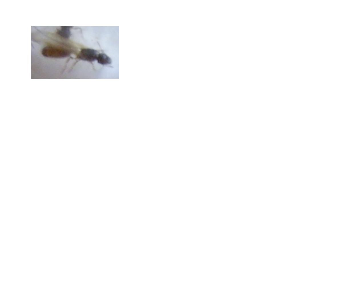 Sin identificar 2