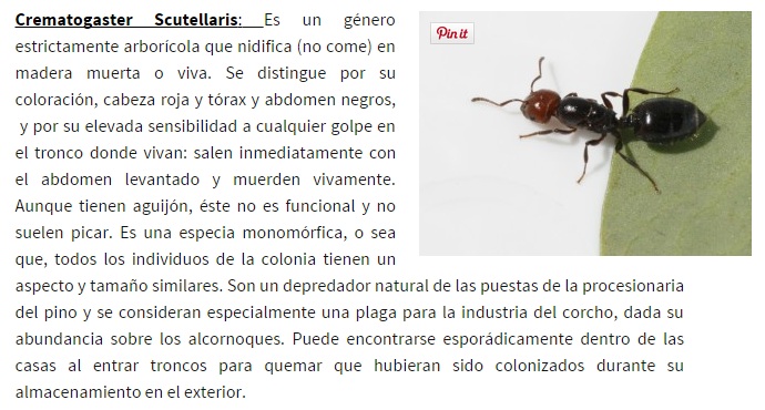 creo que es esta la que encontre