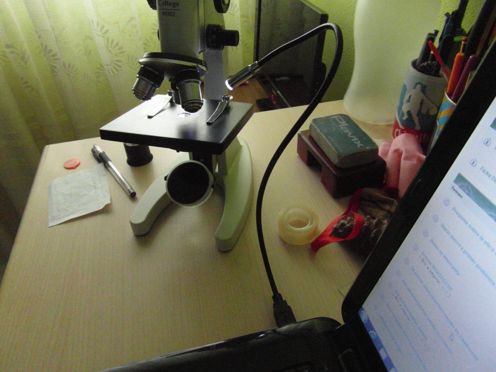 microscopio para identificar hormigas