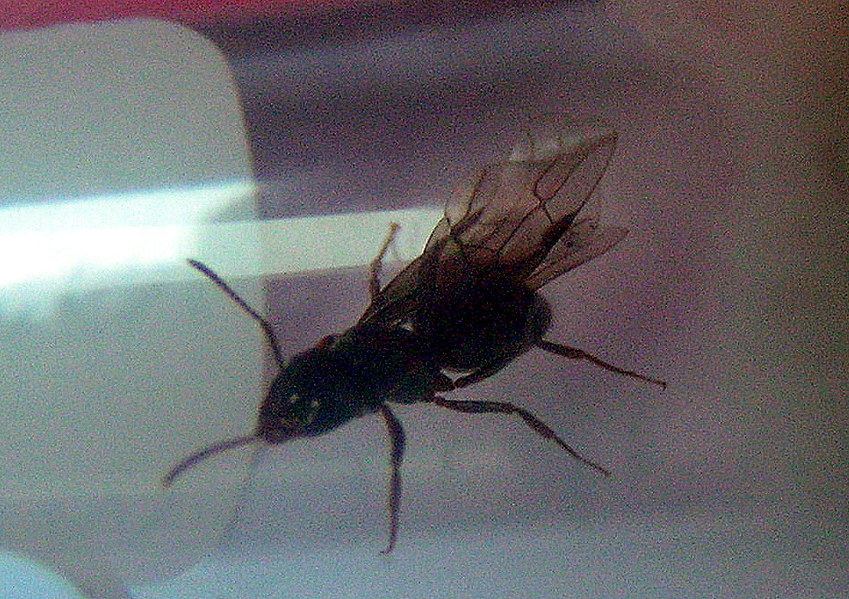 exposita-1