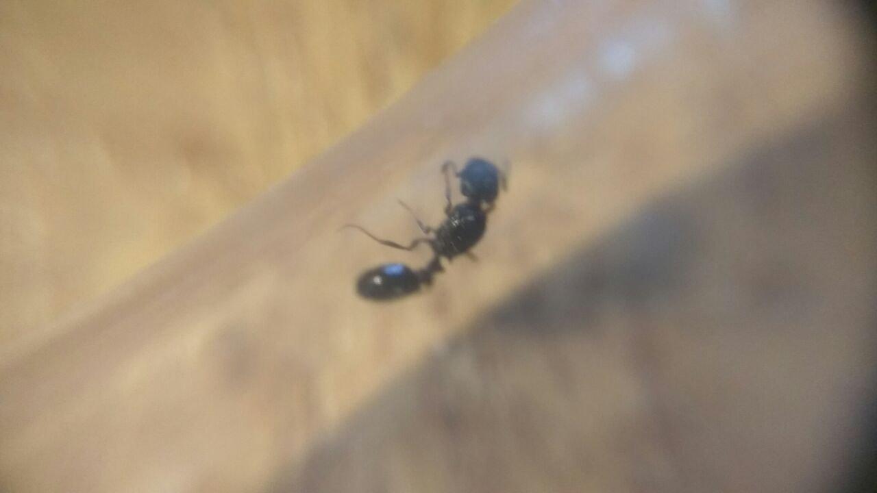 sin identificar3